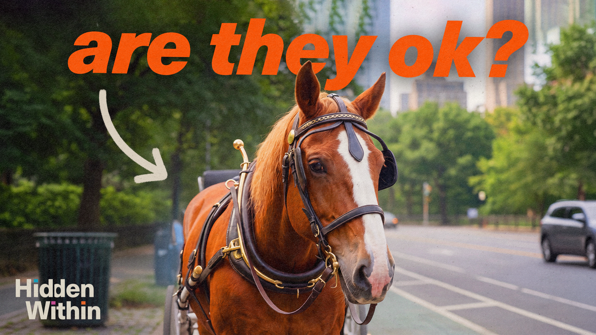 Are carriage horses OK?
